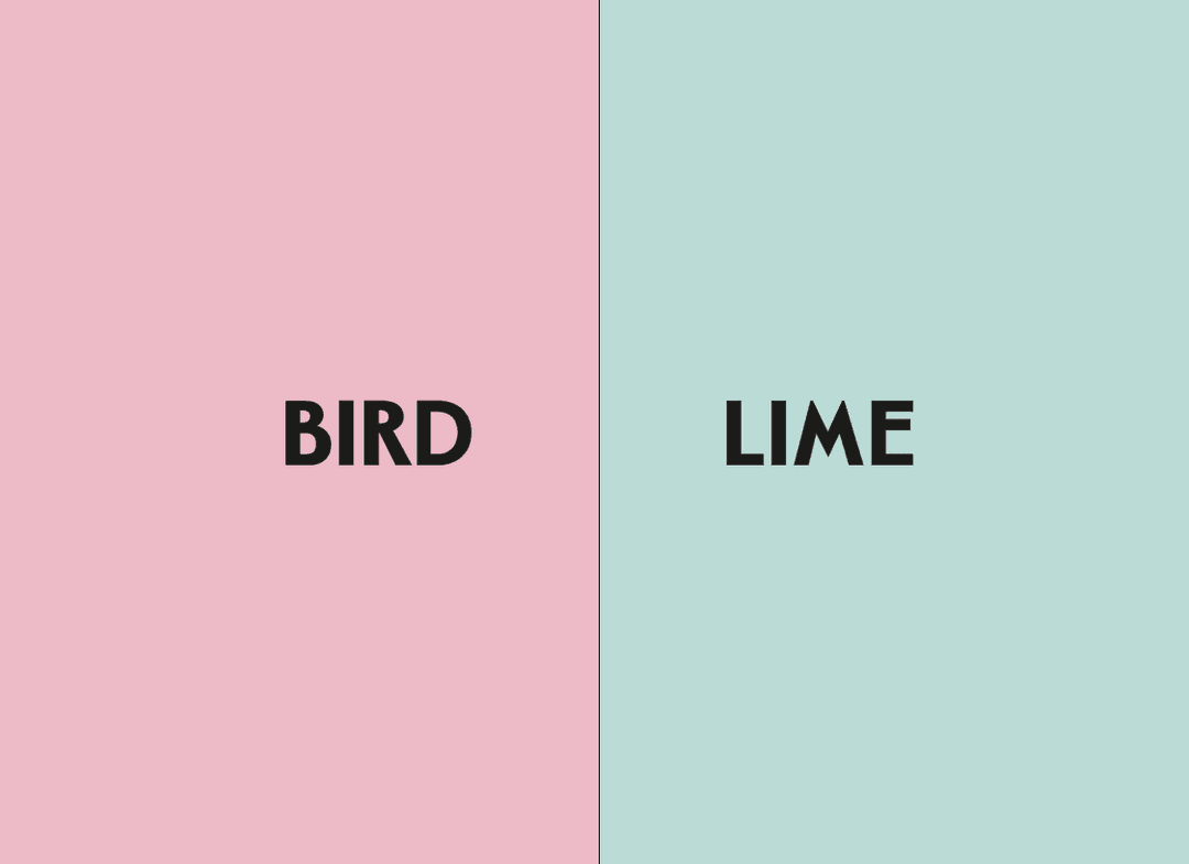 The Bird Lime Logo